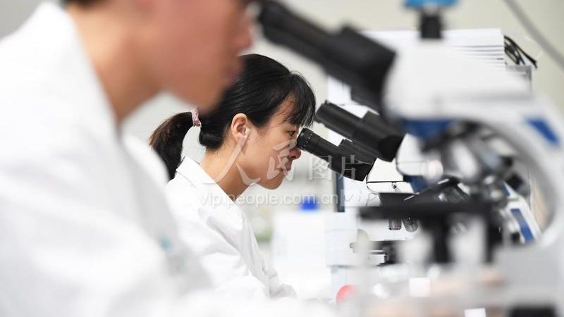 D细胞培养：关键步骤与注意事项解析**