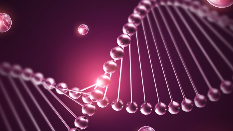 生物药CDMO定制服务流程揭秘：从研发到上市的关键步骤