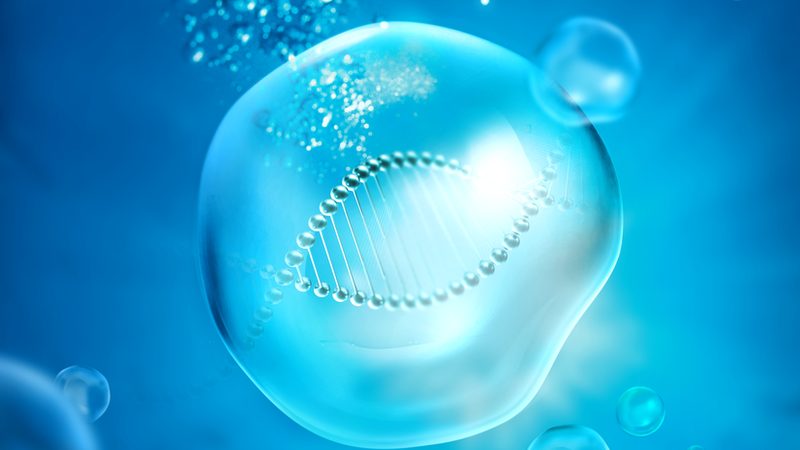 CDMO项目成本评估：如何精准把控研发投入
