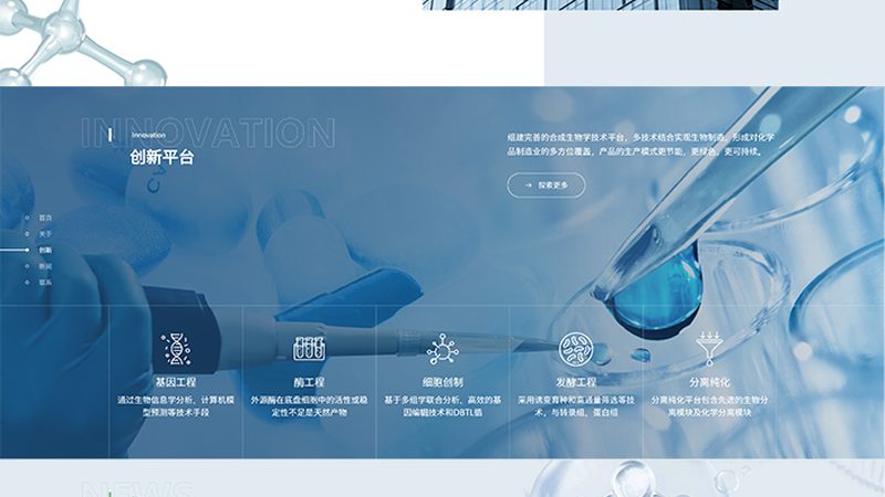 CDMO服务流程分类：揭秘药物研发背后的关键环节