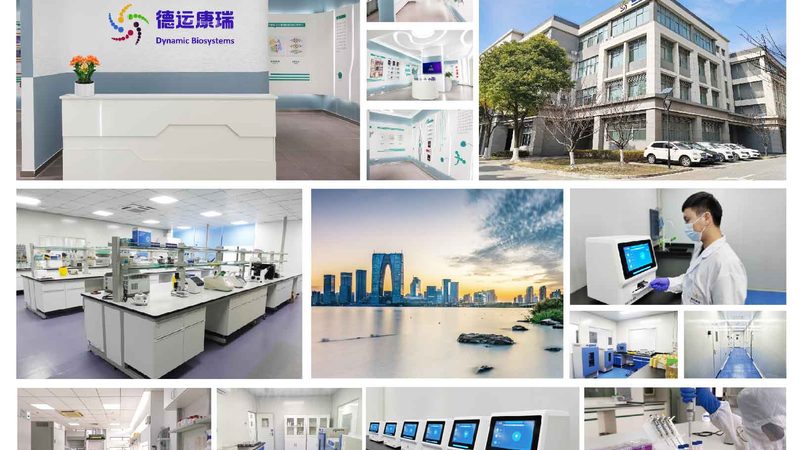 PP材质离心管：了解其特点与选购要点**
