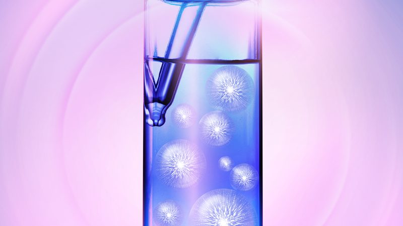 CDMO资质要求揭秘：合规之路的必备要素
