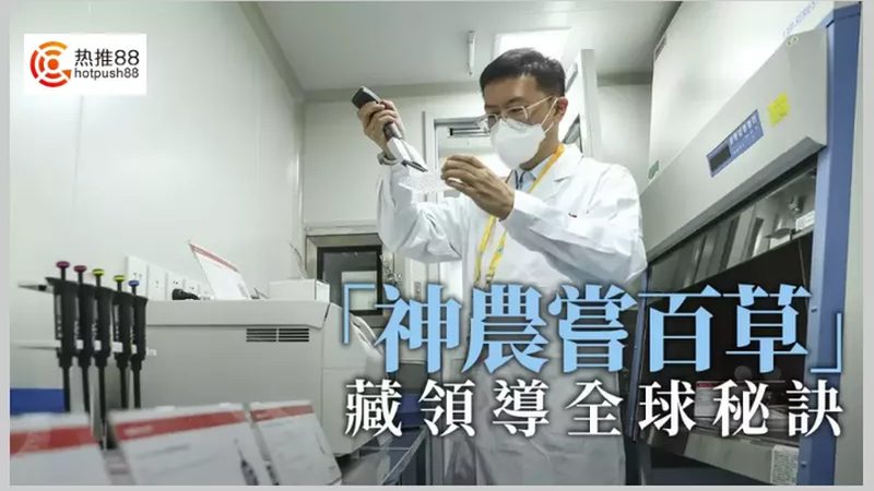 离心管规格解析：从0.5ml到50ml型号的奥秘**