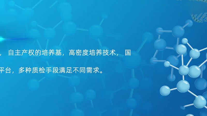 引物合成与修饰：揭秘分子生物学中的关键差异**