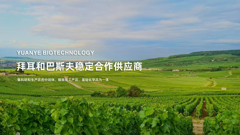 无创产前基因检测：标准规范背后的科学逻辑