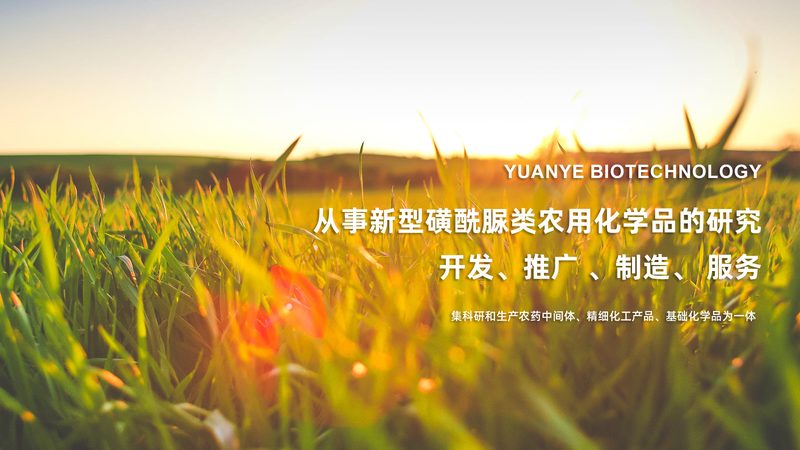 细胞工厂加盟代理，如何迈出成功的第一步？**