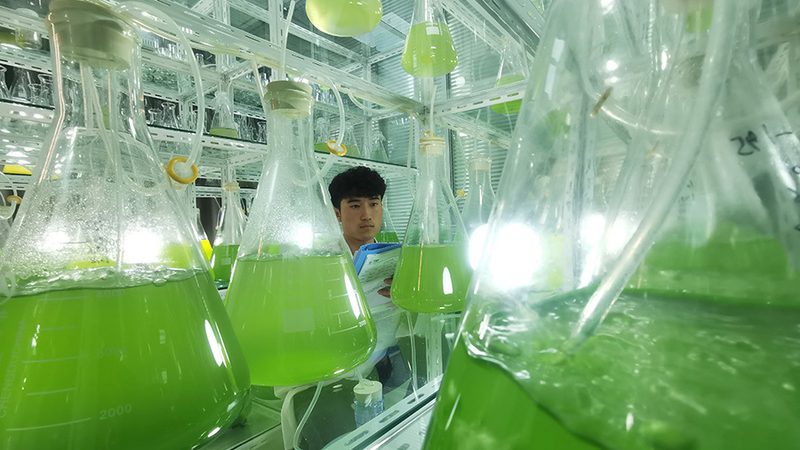 过期培养基还能用于实验吗？风险与处理要点**